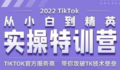 Seven漆《Tiktok从小白到精英实操特训营》带你掌握Tiktok账号运营-海纳网创学院
