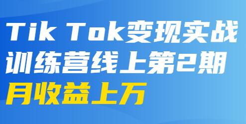 龟课-TikTok变现实战训练营 第2-4期 月收益上万不成问题-海纳网创学院