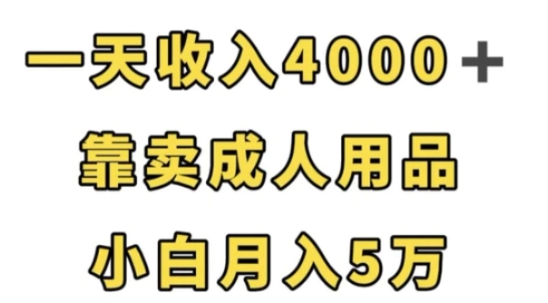 一天收入4000+，靠卖成人用品，小白轻松月入5万【揭秘】-海纳网创学院