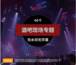 酒吧现场蹦迪DJ视频素材40个-海纳网创学院