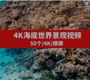 4K海底世界景观视频-海纳网创学院