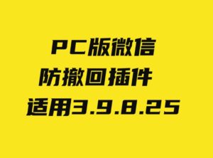 PC微信防撤回插件适用3.9.8.25-海纳网创学院