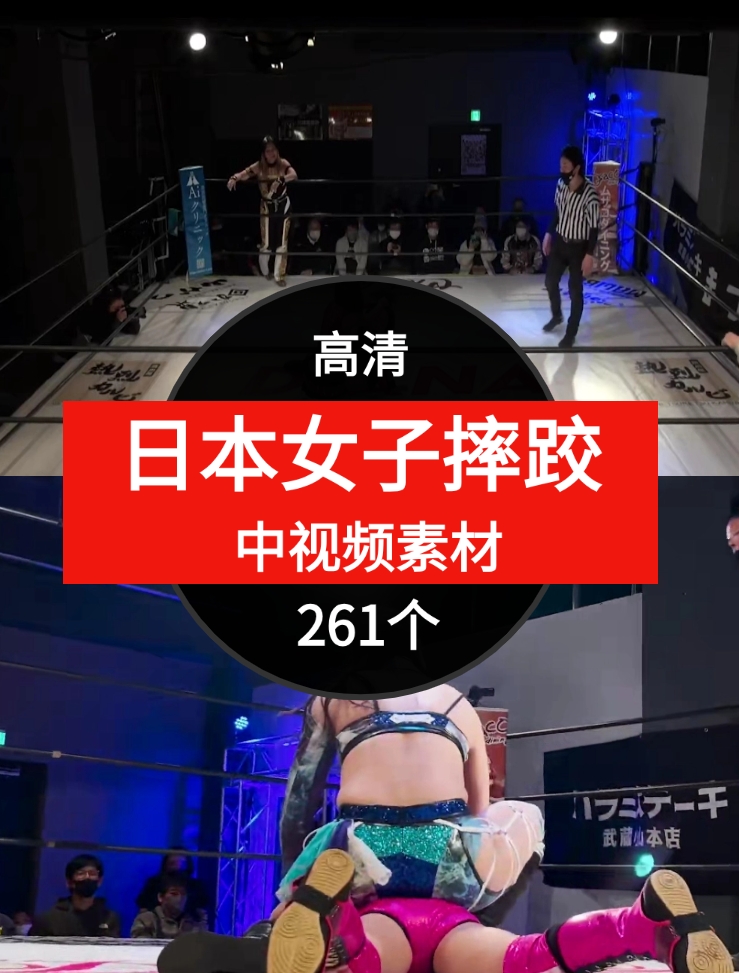 日本女子摔跤视频中视频素材-海纳网创学院